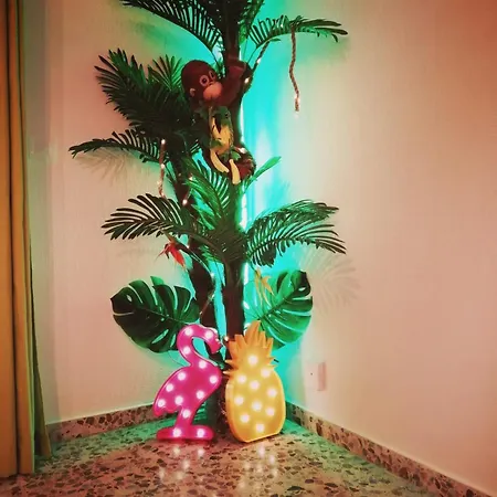 Wonder Guest house