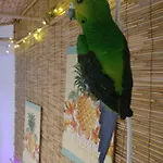 Wonder ゲストハウス